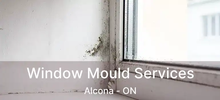  Window Mould Services Alcona - ON