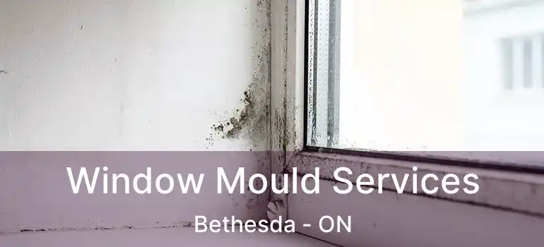  Window Mould Services Bethesda - ON