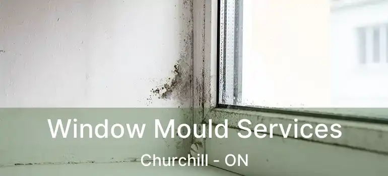  Window Mould Services Churchill - ON