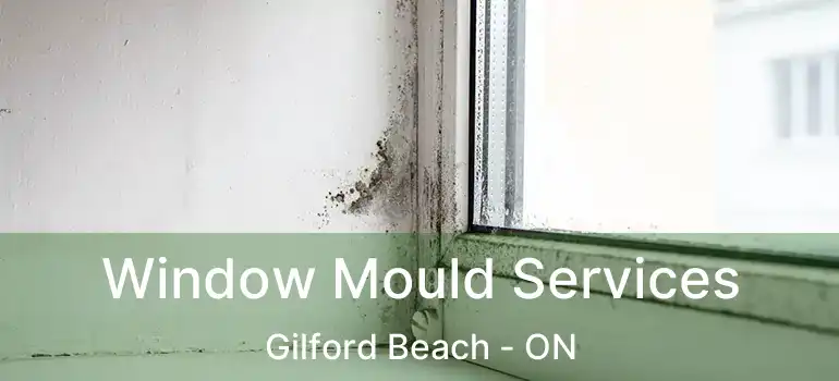  Window Mould Services Gilford Beach - ON