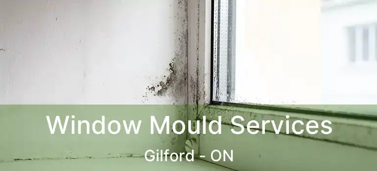  Window Mould Services Gilford - ON