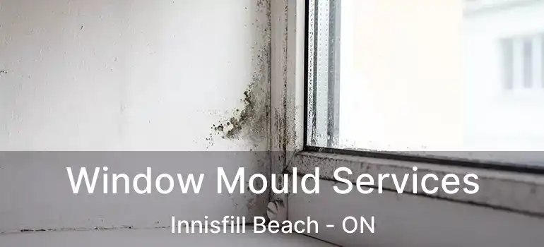  Window Mould Services Innisfill Beach - ON