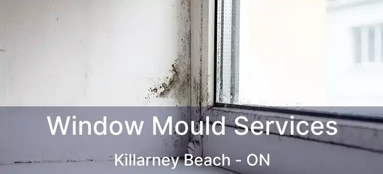  Window Mould Services Killarney Beach - ON