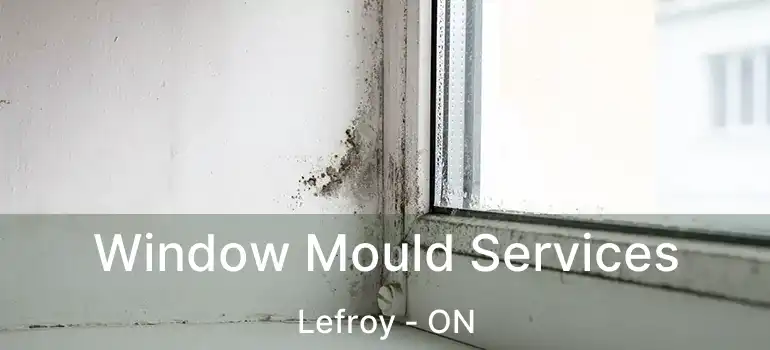  Window Mould Services Lefroy - ON