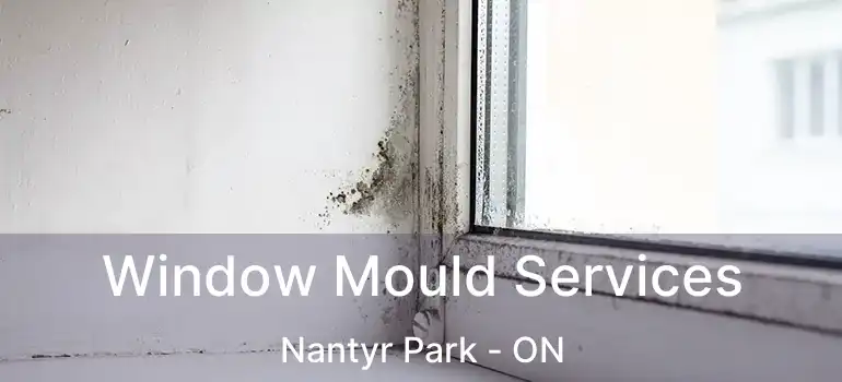  Window Mould Services Nantyr Park - ON