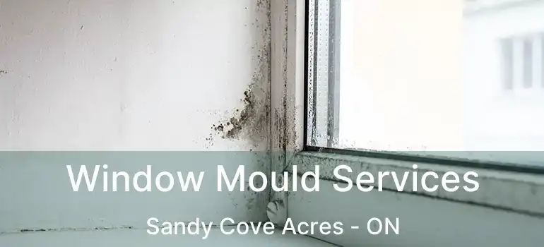  Window Mould Services Sandy Cove Acres - ON