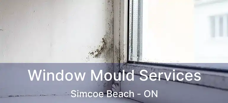  Window Mould Services Simcoe Beach - ON