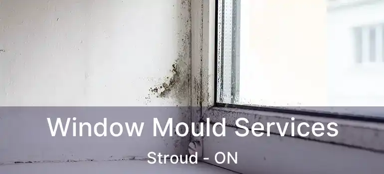  Window Mould Services Stroud - ON