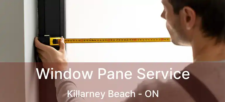  Window Pane Service Killarney Beach - ON