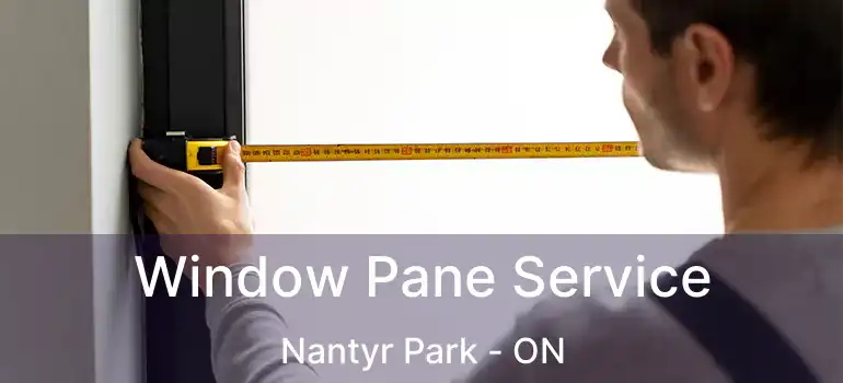  Window Pane Service Nantyr Park - ON