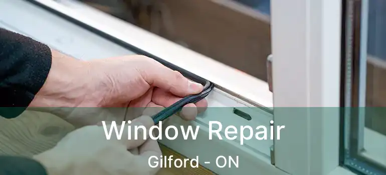  Window Repair Gilford - ON