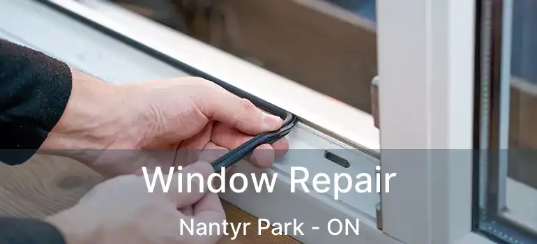  Window Repair Nantyr Park - ON