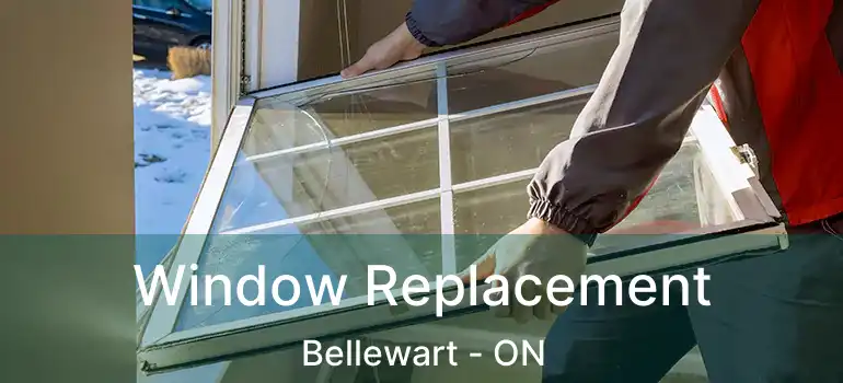  Window Replacement Bellewart - ON
