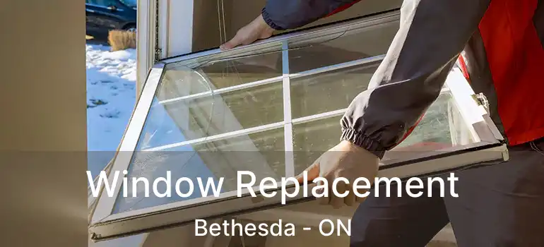 Window Replacement Bethesda - ON