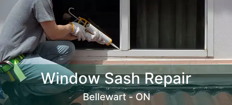  Window Sash Repair Bellewart - ON