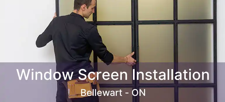  Window Screen Installation Bellewart - ON