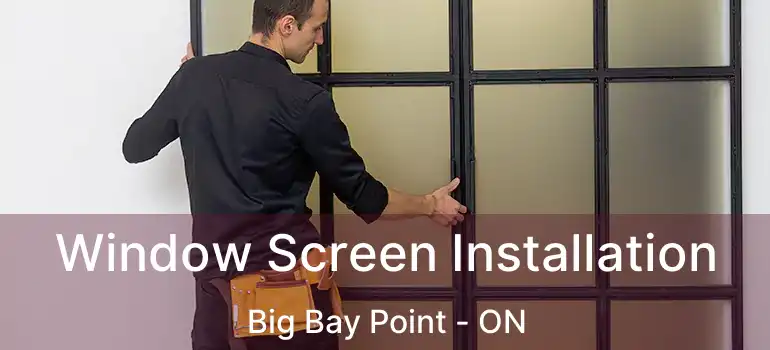  Window Screen Installation Big Bay Point - ON