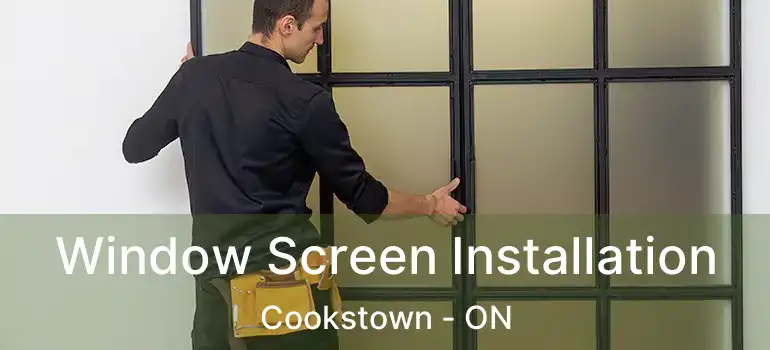  Window Screen Installation Cookstown - ON