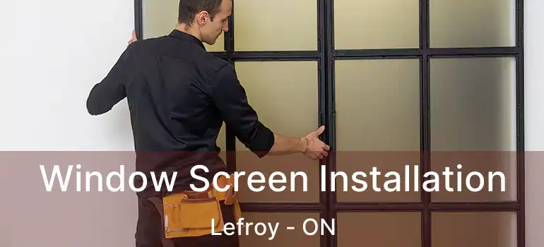  Window Screen Installation Lefroy - ON