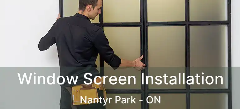  Window Screen Installation Nantyr Park - ON