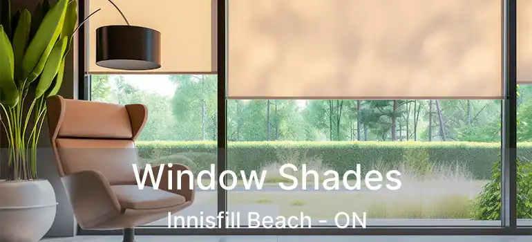  Window Shades Innisfill Beach - ON