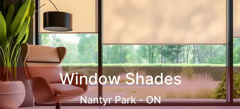 Window Shades Nantyr Park - ON