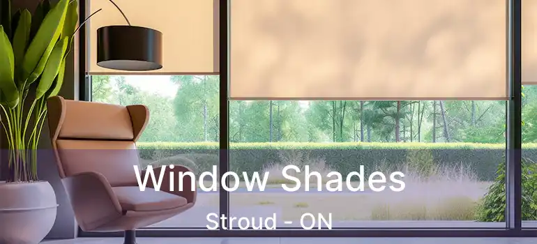  Window Shades Stroud - ON