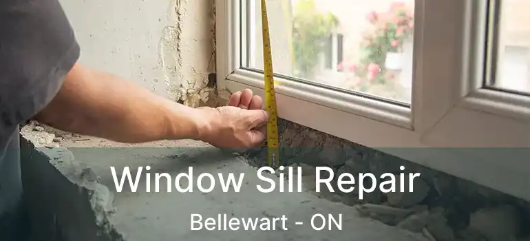  Window Sill Repair Bellewart - ON