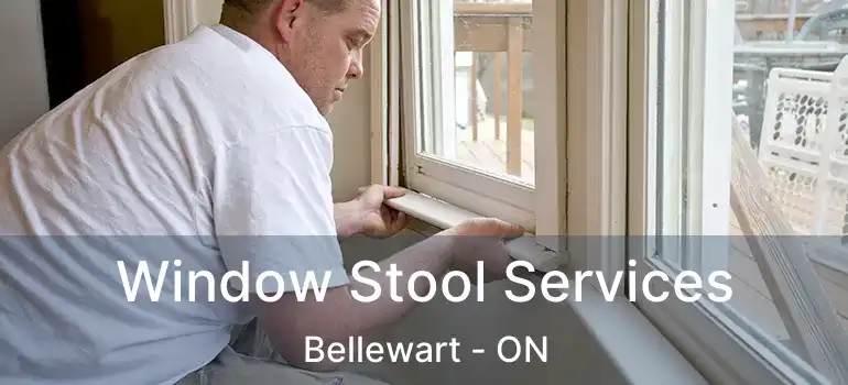  Window Stool Services Bellewart - ON