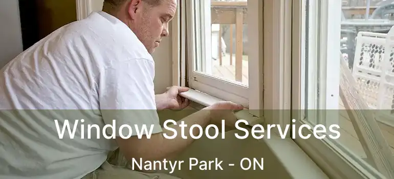  Window Stool Services Nantyr Park - ON