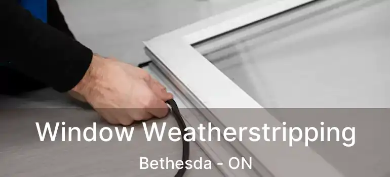  Window Weatherstripping Bethesda - ON