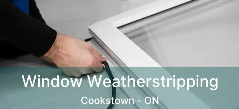  Window Weatherstripping Cookstown - ON