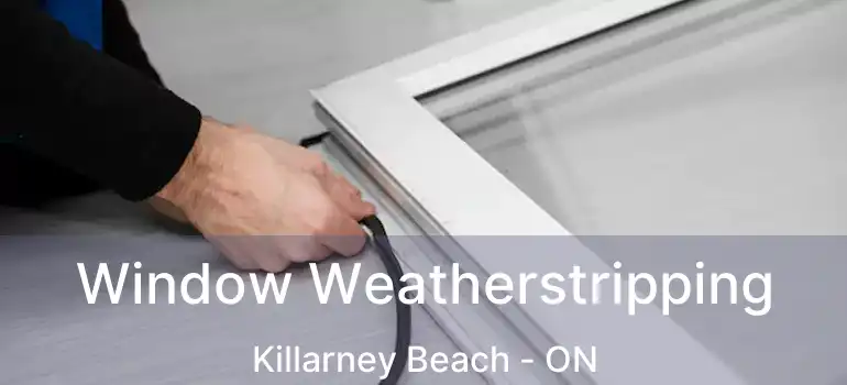  Window Weatherstripping Killarney Beach - ON