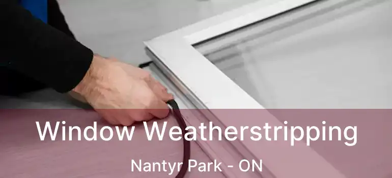  Window Weatherstripping Nantyr Park - ON
