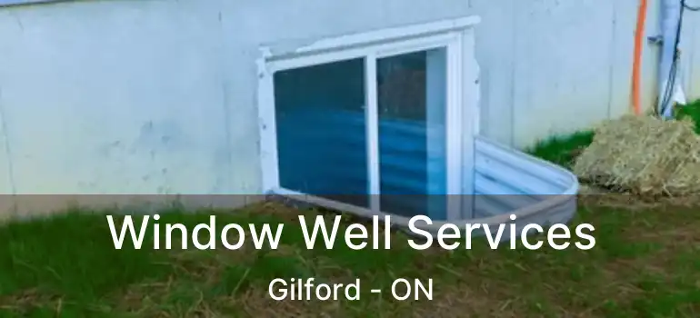  Window Well Services Gilford - ON
