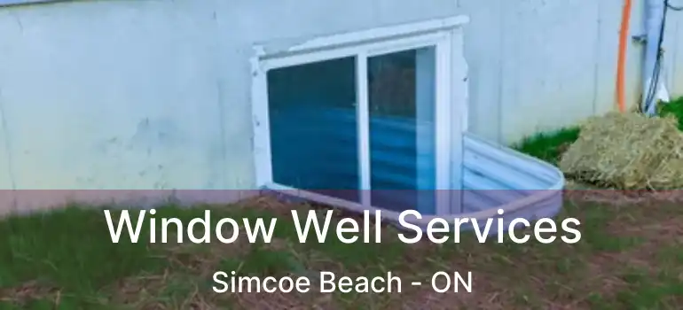  Window Well Services Simcoe Beach - ON